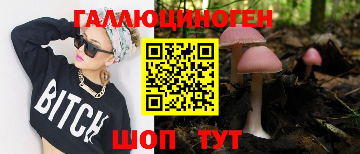 Алейск  Псилоцибиновые грибы мицелий  Вход с VPN  Псилоцибиновые грибы Psilocybine cubensis 