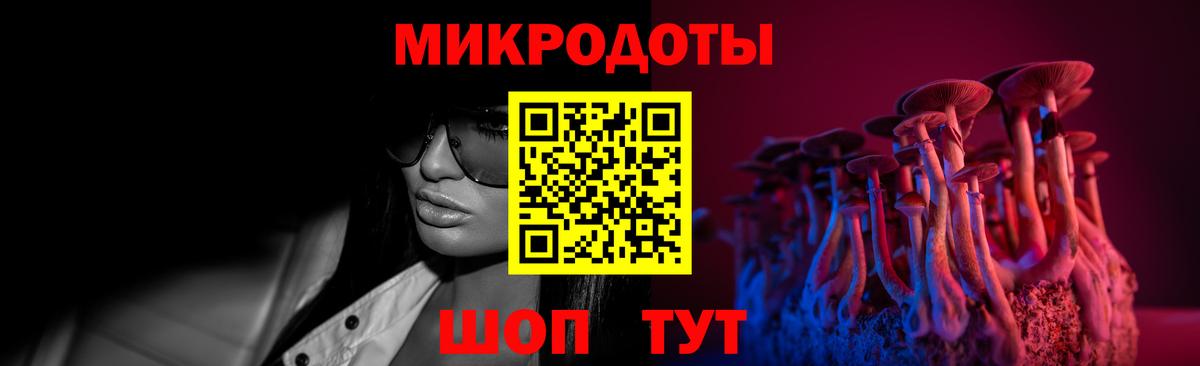 Галлюциногенные грибы Psilocybe Алейск